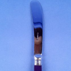 Antique Tea Knives with Blue Handle