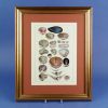 Oyster Shells Framed Print 2 Oyster Shells Framed Print